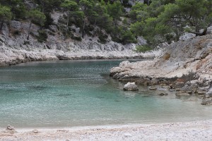 calanque-port-pin